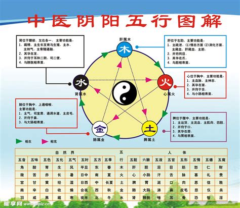 中醫五行|五行